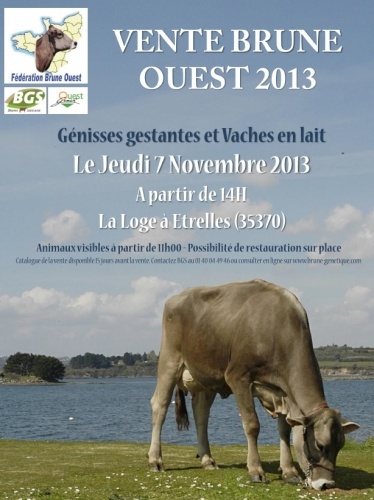 Brune vente ouest
