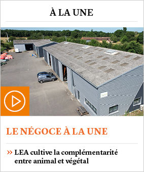 LEA