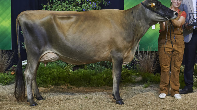  - Championne espoir : Jers'hys Kalysse (Gaec Ferme Jers'Hys - Eure-et-Loire). Jers'Hys a également été élue grande championne du concours.