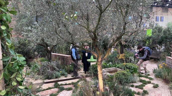 Le jardin éphémère  « L’Écrin méditerranéen » sur le thème imposé  « Le jardin des possibles : faites-nous rêver, surprenez-vous ».