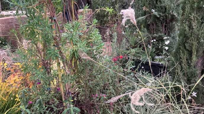 Un jardin sensible et durable, pensé comme un refuge où l’on se sent instantanément bien.