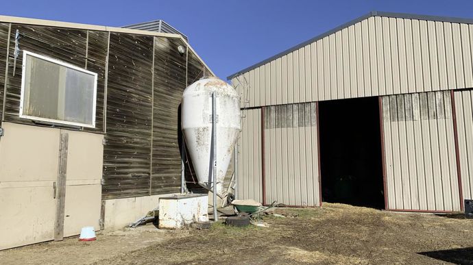 Le prochain investissement (400 000 €) porte sur l’agrandissement de la stabulation (bâtiment à gauche sur la photo) pour permettre à tout le troupeau d’être rentré en hiver au même endroit et de travailler à l’abri du froid. Pour ce faire, le hangar à fourrage (bâtiment à droite) va être réduit de deux travées afin de permettre l’agrandissement. Une mise aux normes sera aussi effectuée côtés effluents et les tapis des logettes seront changés. « Nous ne sommes pas pour le photovoltaïque au-dessus des vaches », commente Nicolas. Le projet qui lui « trotte dans la tête » porte plutôt sur du séchage en grange.