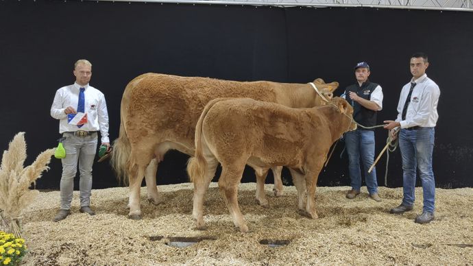  - Le Gaec Camus Père et Fils (Haute-Vienne) remporte également le prix d’honneur « Femelle adulte » avec Nimoise. Régis Geraud, juge, l’a tout particulièrement distinguée pour « la viande qu’elle porte dans son dos et la qualité de sa suite ». Le Gaec Camus présentait deux des quatre animaux en lice pour ce prix.