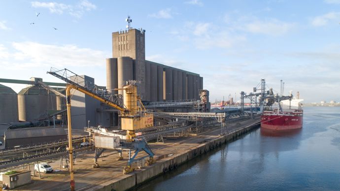 Environ 2 Mt de blé et d'orge sont exportés chaque campagne depuis Dunkerque, et c'est l'objectif que s'est fixé Nord Céréales pour 2025/26.