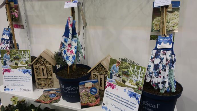 Des gants et des tabliers fleuris, pour accompagner et stimuler les ventes d’hortensias MAGICAL® ‘Four Seasons’, et apporter la joie au jardin. ©Odile Maillard