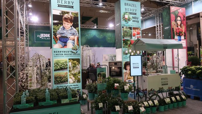 Du bleu, d’immenses kakémonos ou posters, des photos d’enfants souriants dans de beaux jardins pour lancer les nouveaux myrtilliers BERRY®. Les petits fruits reviennent à la mode. ©Odile Maillard