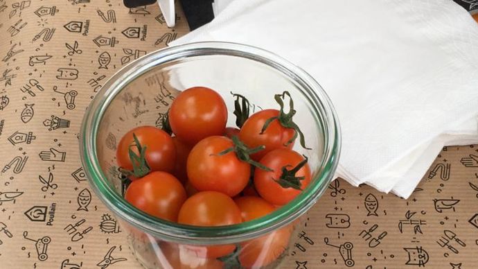 Tomate cerise ‘Honeycomb’, fruits très sucrés… de vrais bonbons. ©Ducrettet