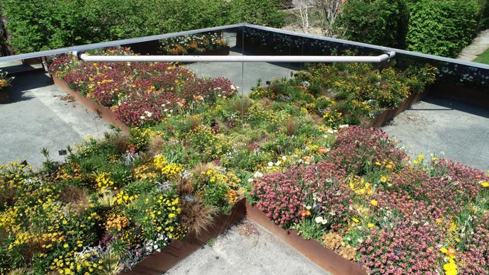 Les miroirs démultiplient les perspectives. ©Terra Botanica, par drone