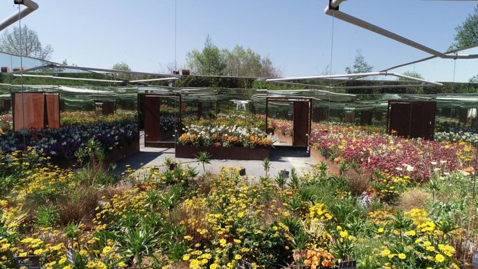 Jeux de couleurs et de miroirs. ©Terra Botanica, par drone