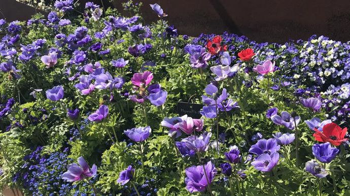 Tons bleus. ©Graines Voltz