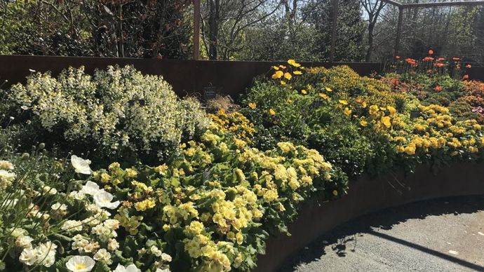 Tons jaune et blanc. ©Graines Voltz