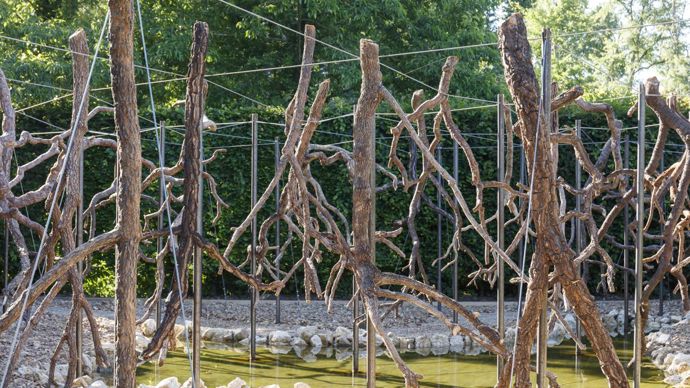 La seconde mention a été décernée à « Paysage de Feu » des Brésiliens Carlos M. Teixeira, Daila Coutinho et Federico Almeida. ©Eric Sander