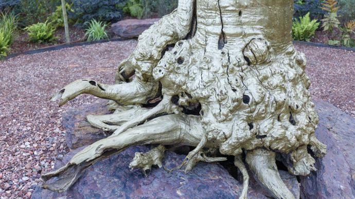 Drôle de trogne a été réalisé par une équipe française composée de Soline Portmann et Romuald Bardot. ©Eric Sander