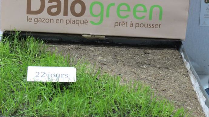 10. INNOVERT® de bronze « Innovation commerciale végétale » : Dalogreen, Loigné-sur-Mayenne (53).