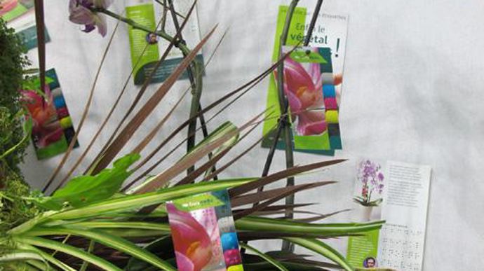 12. Mention spéciale du jury « Produit non végétal » : Etiquettes baille, Floramédia France, Lyon (69).
