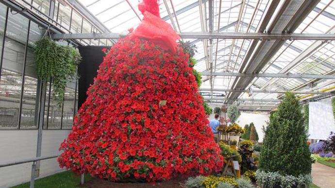 13. Petunia ‘Hells Bells'. Nouveauté 2011/2012.