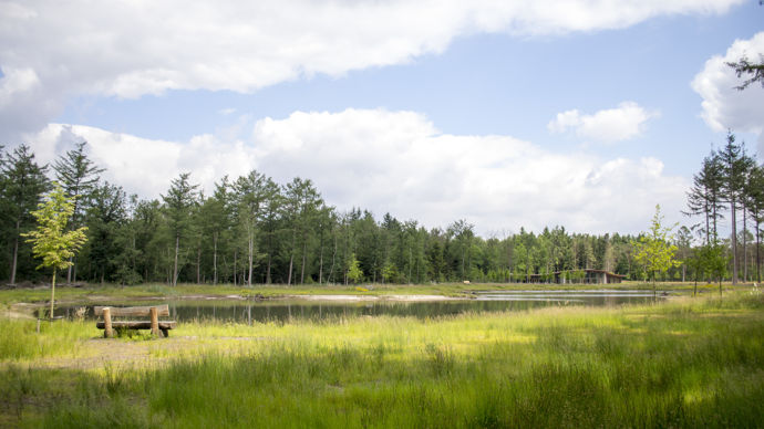 Parc et cimetière naturel du Schoorsveld à Heeze aux Pays-Bas.
