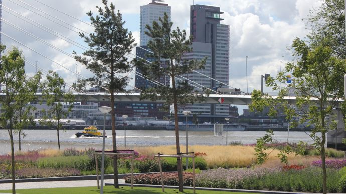 Vue sur le parc Leuvenhoofd à Rotterdam, construit au bord de la Meuse.