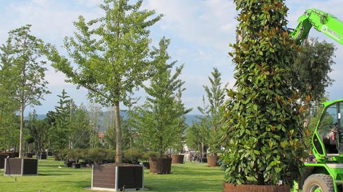 © V. Vidril Le parc met en avant des plantes de pépinière « placées harmonieusement, naturellement, et non pas contraintes dans la stricte géométrie d'une pépinière ». © V. Vidril