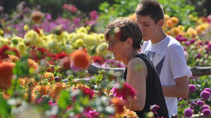 ©Gilles Cloîtres Les visiteurs du festival et des jardins du lycée de Coutances (50) sont sensibilisés chaque année au fleurissement, et en particulier aux dahlias. 
