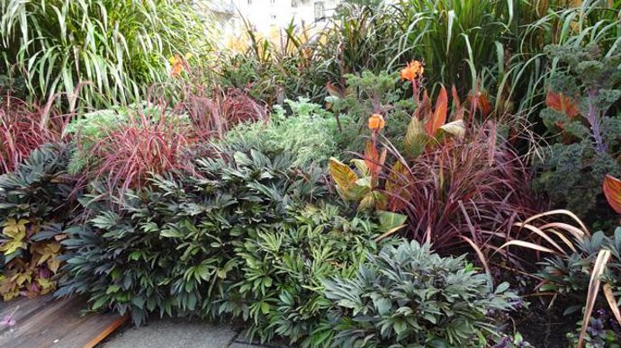 © Sébastien Guillet Massifs 2015 dans le site de l'école d'ingénieurs Agrocampus Ouest à Angers (49). 