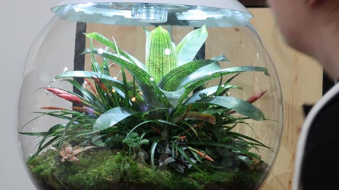 BIORB®, spécialiste des aquariums, met la nature sous cloche… un modèle issu de recherches sur l’air et la lumière, présenté dans le Discovery Center. ©Odile Maillard