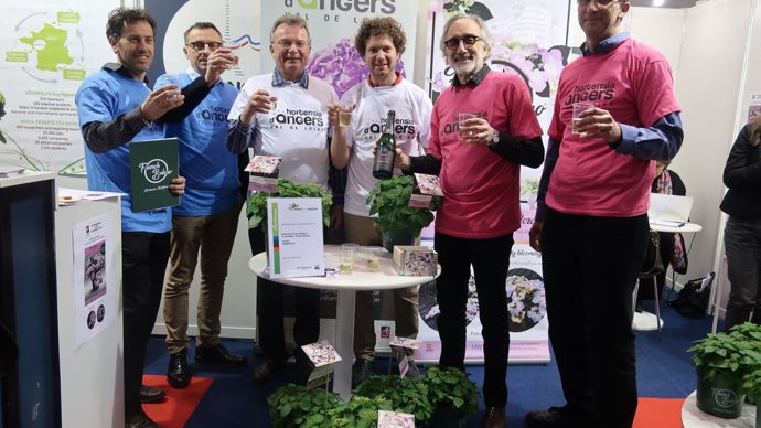 Et pour fêter les récompenses (ici une 3e place au concours Color Your Show), l’équipe française d’HW2 lance son hortensia FRENCH BOLERO® sur les rails de la renommée internationale… avec un bon cru des Pays-de-Loire, comme il se doit. ©Odile Maillard