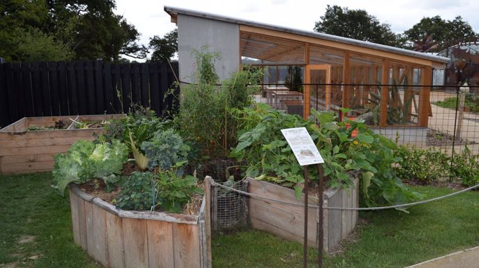 Un potager connecté au tas de compost.