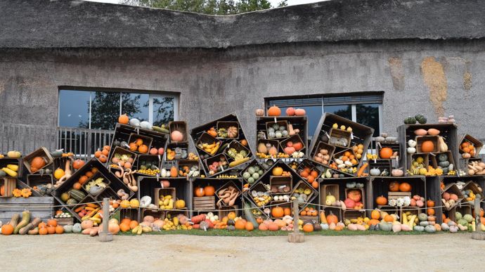 Exposition de la collection de courges.