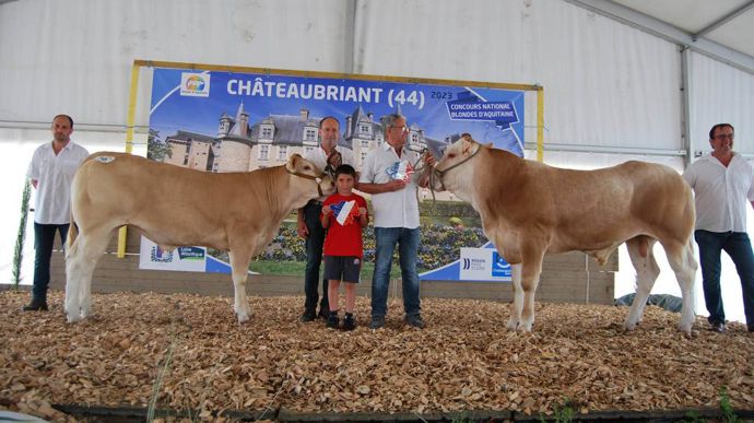 Une première participation pour Tchikita (à gauche), qui décroche le prix de championne jeune femelle. Tenor (à droite), repart avec celui de champion jeune mâle.