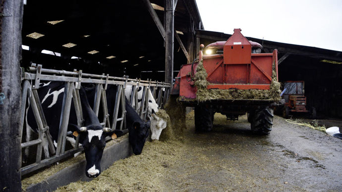 Le couloir d’alimentation a été agrandi à 53 cornadis. Il est utilisé pour la distribution des ensilages après la traite. Il est accessible aux vaches en continu.