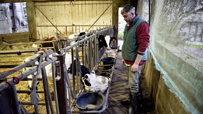 Les vêlages se déroulent au champ avec peu d’intervention (une vache sur dix). Les veaux restent une journée avec leur mère avant de rejoindre la nurserie, à la fois lumineuse et bien ventilée. Les femelles partent à l’âge de 4 mois chez un éleveur de génisses. Elles reviennent un mois avant vêlage. Le coût de la prestation est de 1 100 euros par génisse.