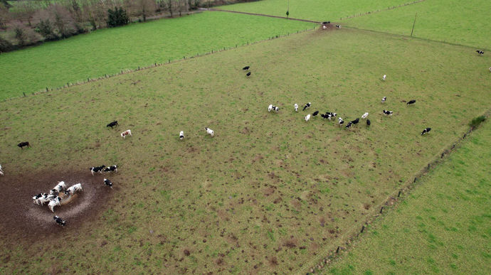 L’éleveur doit en général aller chercher ses vaches pour la traite du matin. Quand il n’y a plus du tout de pâturage en hiver et qu’elles sont sur des prairies parking, il faut leur mettre à disposition des fourrages de bonne qualité pour les inciter à retourner dehors après la traite.