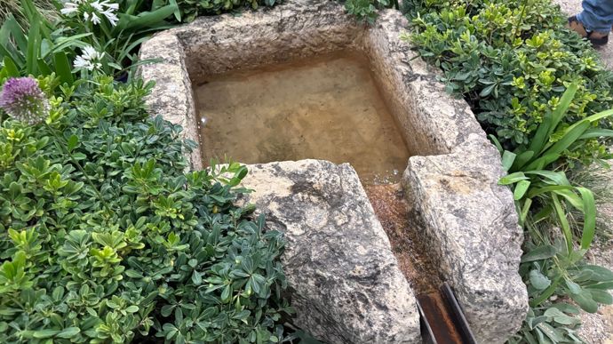 Un jardin qui s’adapte aux contraintes du climat.