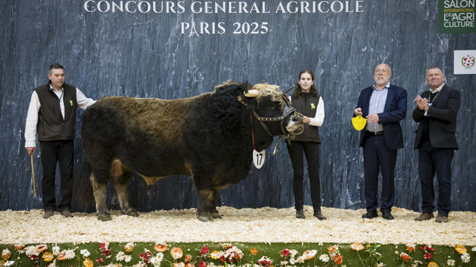Super au Gaec de Clissac, champion de la race aubrac