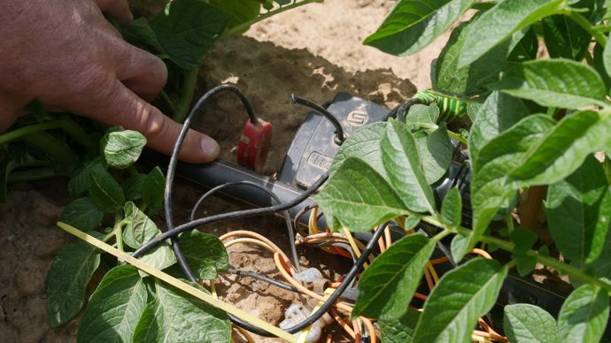 L’humidité dans la butte est suivie par une sonde.
