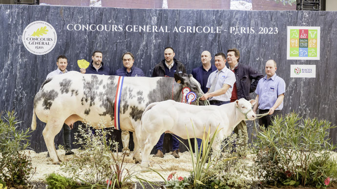 - La grande championne blanc bleu nous vient du Maine-et-Loire. Mélodie combine le type, la finesse, le développement et une très belle avant-main. Son veau montre déjà de grandes qualités viandeuses.