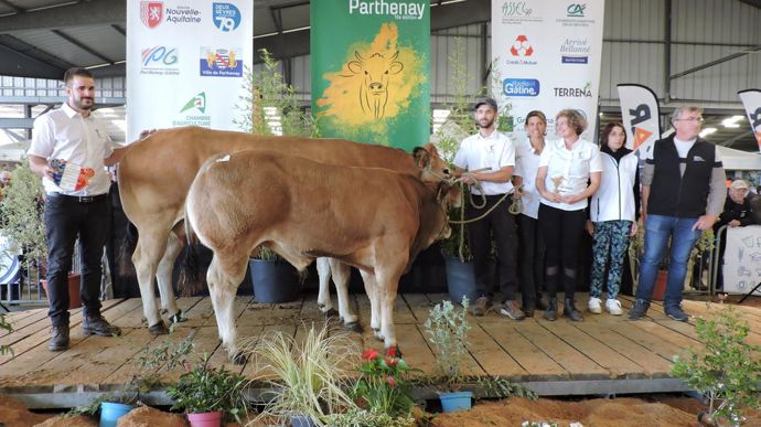 Naturelle est élue championne vache suitée.