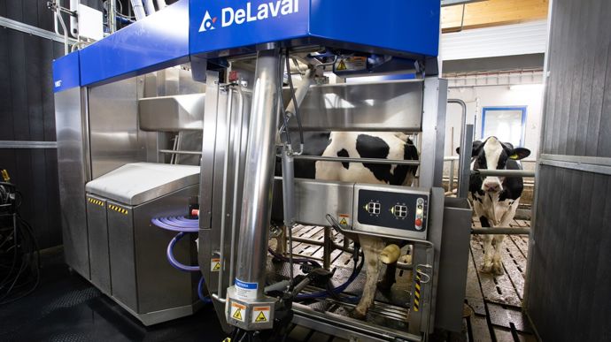 L'étable VMS est prévue pour 350 vaches, avec une production laitière annuelle autour de 6 000 tonnes.