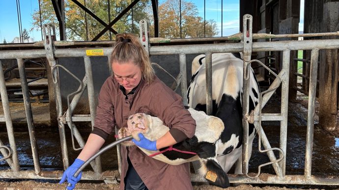 Photo 7 : mouchette.