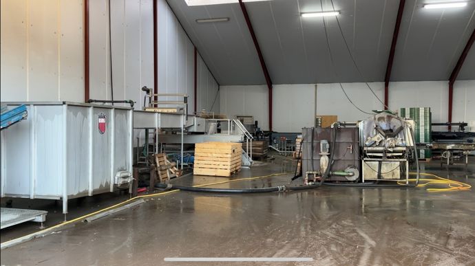 Les citrouilles passent par une machine de lavage pour enlever la terre avant d'être vendues. C'est une spécificité de la ferme. énéralement, elles sont lavées à la main.