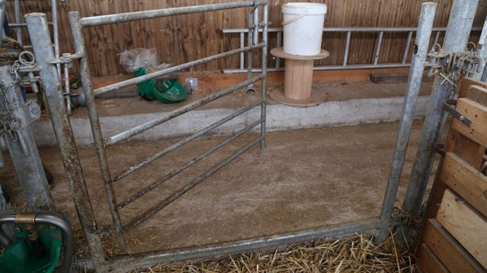 Les deux portails tubulaires des cases de mise bas sont fixés sur des poteaux scellés dans le sol. Ils s'ouvrent facilement quand le fumier monte.