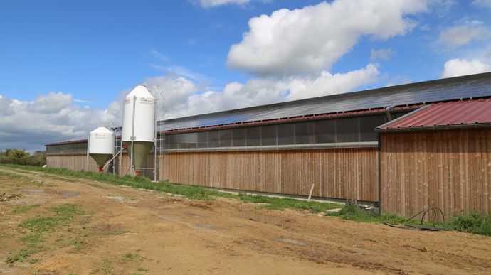 Les silos d'aliments sont situés près du long pan de la bergerie pour automatiser leur distribution.