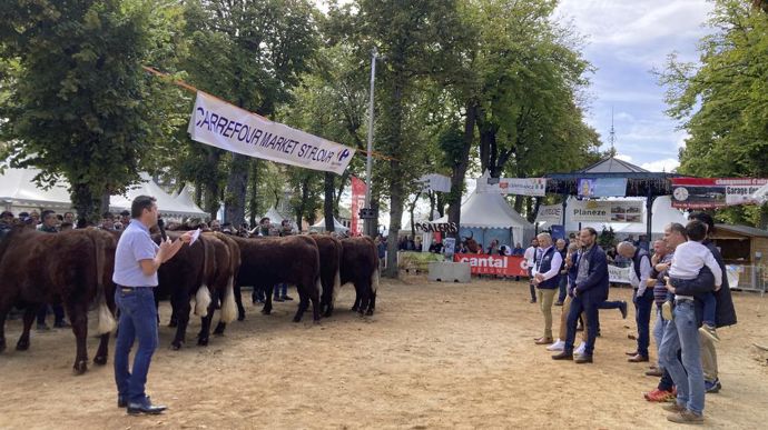 La vente aux enchères d’animaux sous label rouge salers s’est soldée par 100% de ventes avec une fourchette de prix de 7,60 € à 10,60 €/kg de carcasse.
