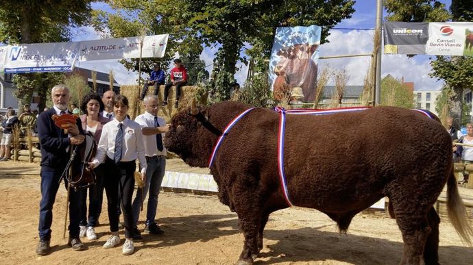 Natif a remporté le prix de championnat mâle. Il appartient au Gaec Duval Claude Père et Fils (Cantal).