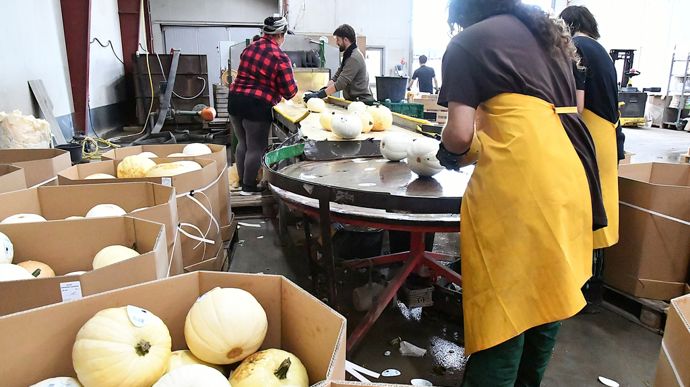 Une cinquantaine de salariés sont employés à l'automne pour faire tourner l'exploitation.