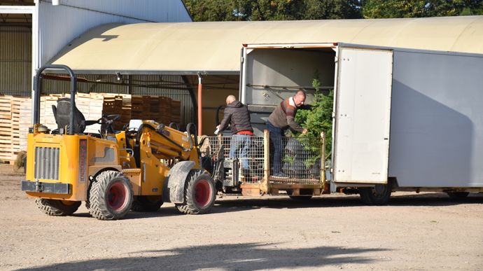 Des cages métalliques et un chariot élévateur permettent de manipuler les gros sujets.