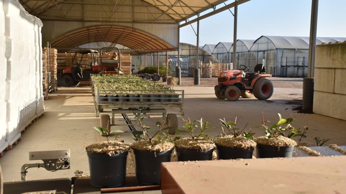 Dalle béton intégrant le rail du convoyeur.