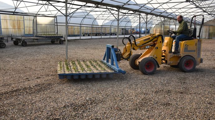 Transport des pots à l’aide d’un mini-chargeur compact.