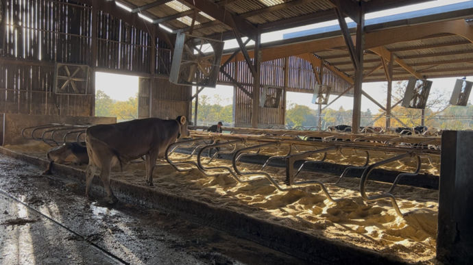 L'idée des logettes creuses sable vient tout droit des Etats-Unis.